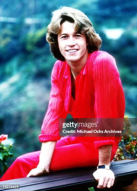 andy gibb photo|462 Andy Gibb Photos Stock Photos & High